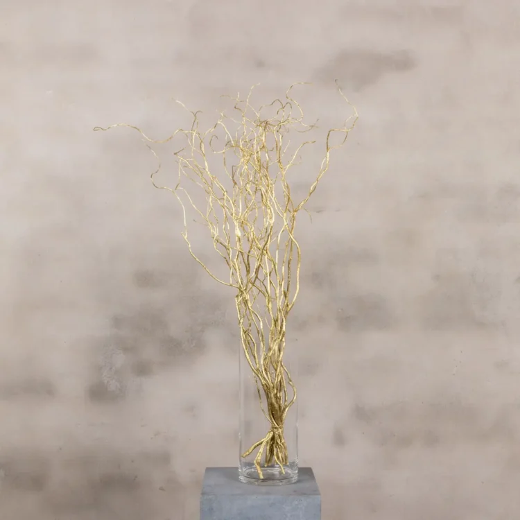 10 gouden wilgentakken 70 cm