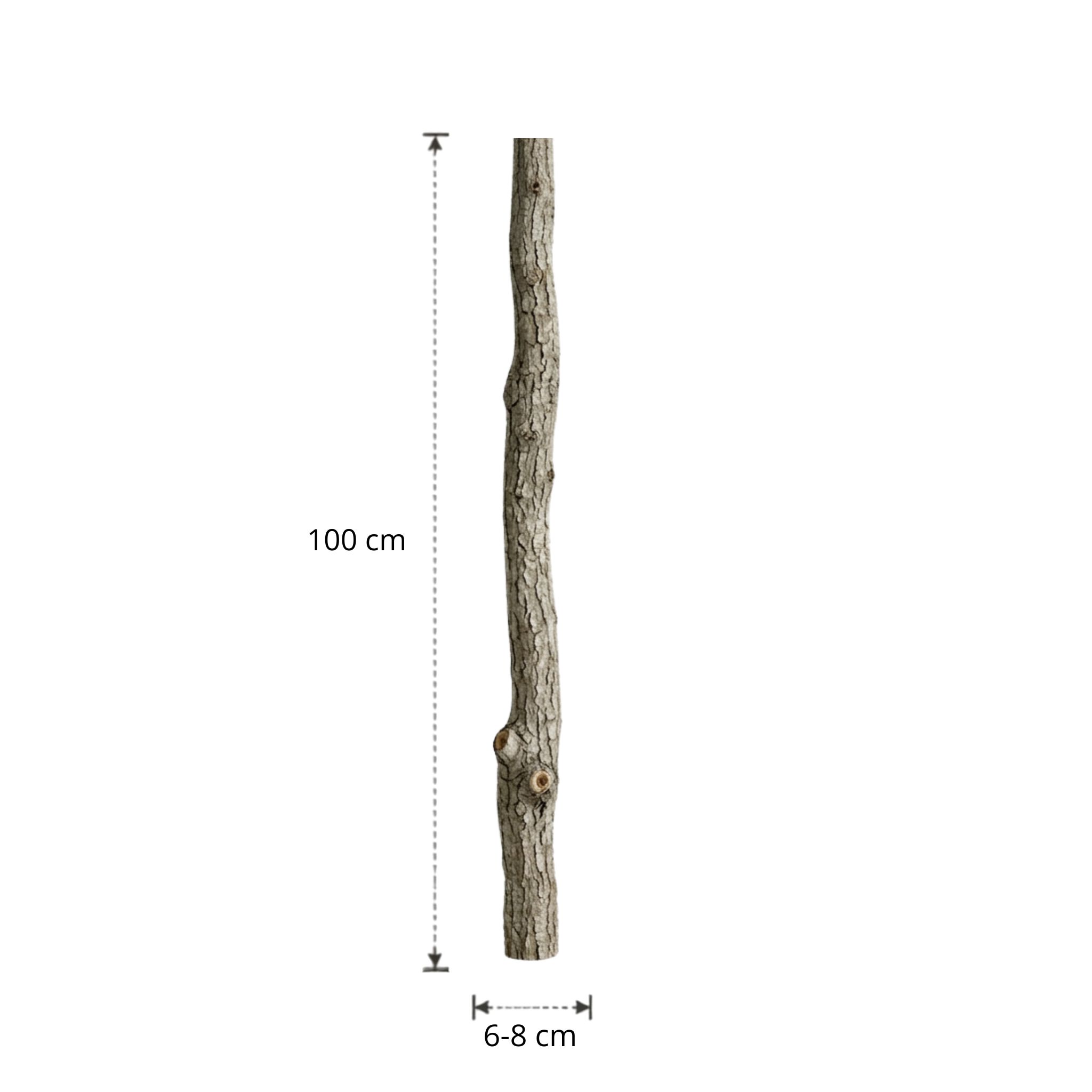 Eikenstam met bast | 100 cm | Diameter van 6 tot 8 cm