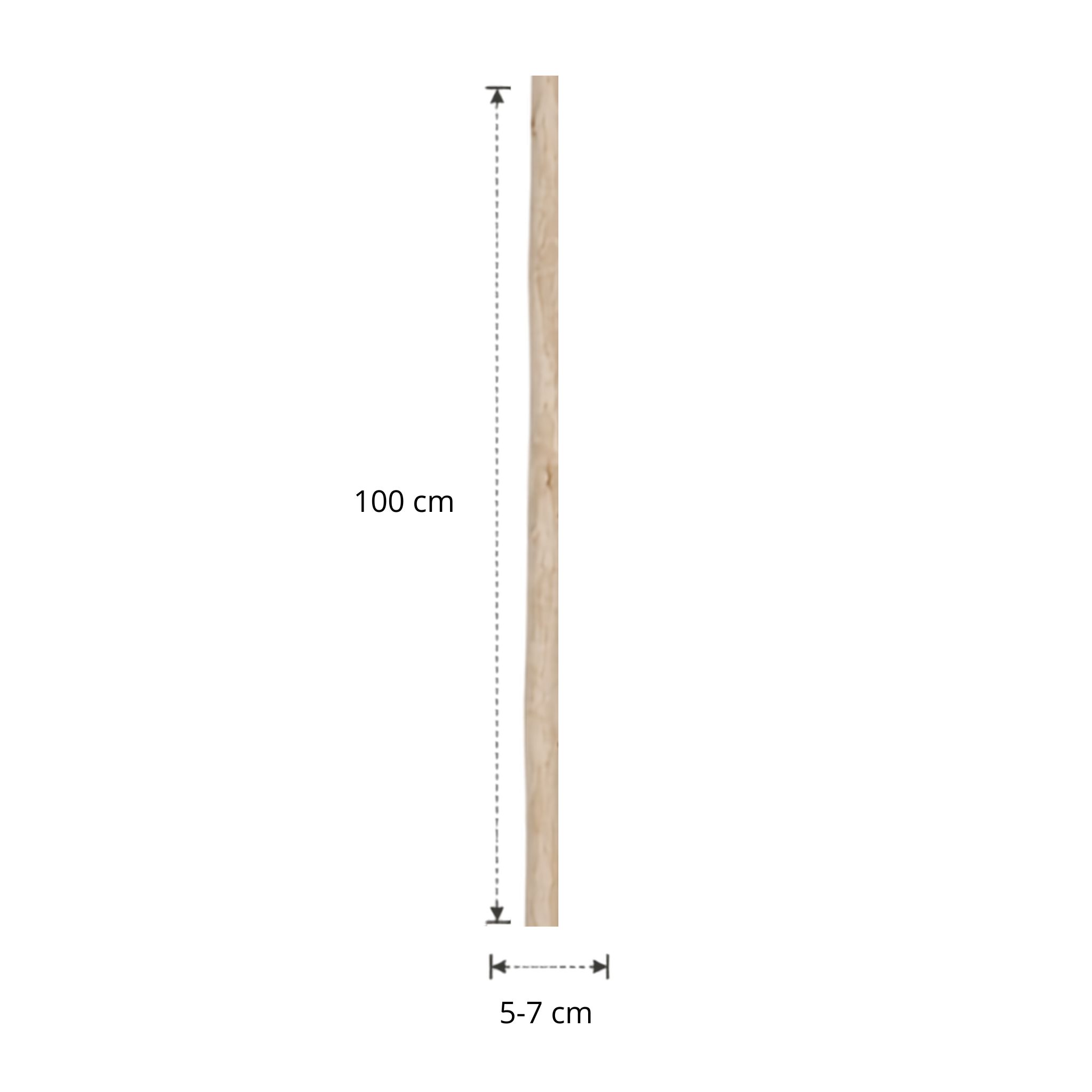 Ontschorste stam | 100 cm | Diverse diameters