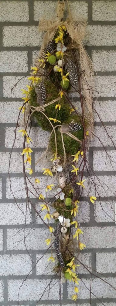 17408367_767813503373827_810660563_o (1)