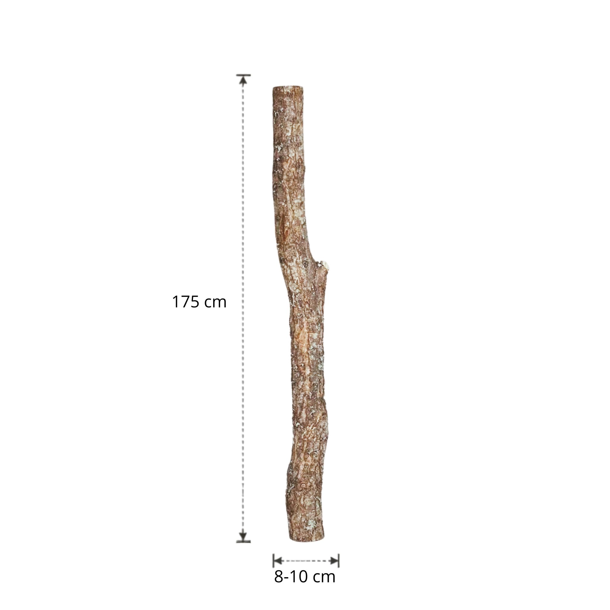 Eikenstam met bast | 175 cm | Diameter van 8 tot 10 cm