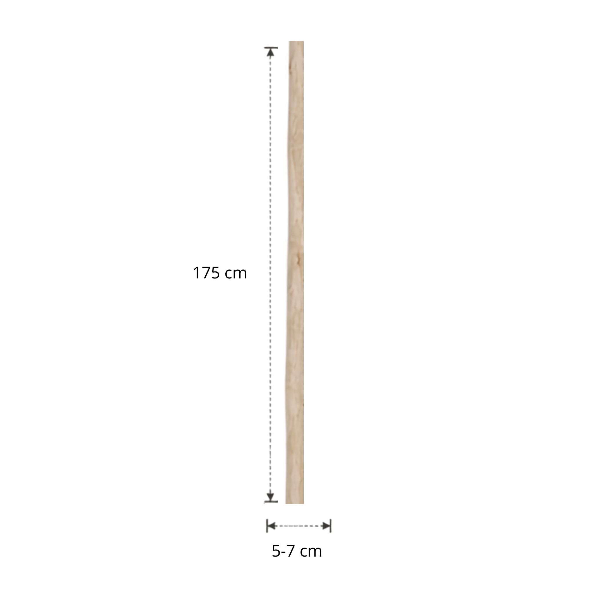Ontschorste stam | 175 cm | Diverse diameters