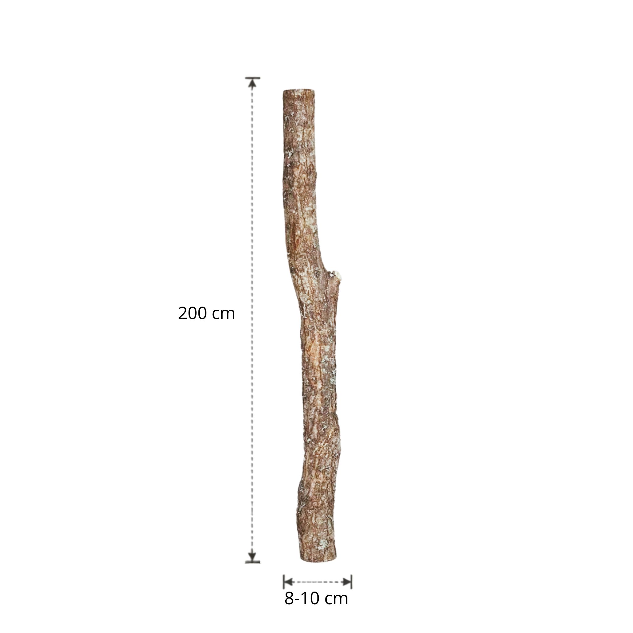 Eikenstam met bast | 200 cm | Diameter van 8 tot 10 cm
