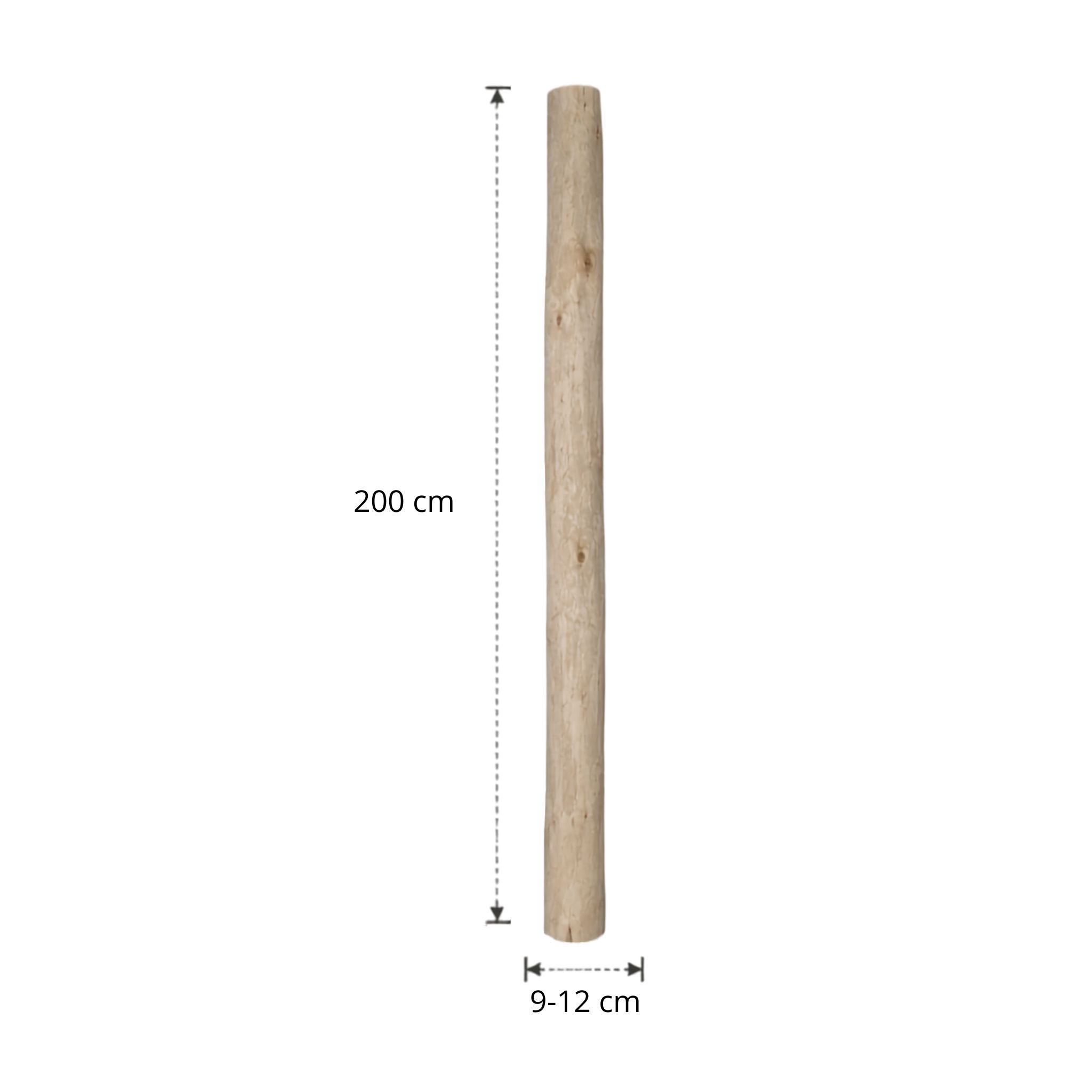 Ontschorste stam | 200 cm | Diverse diameters