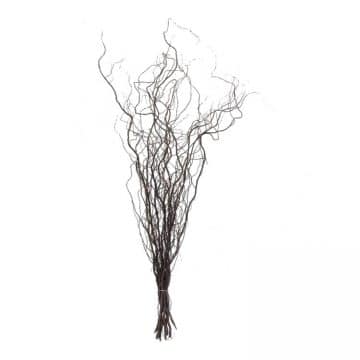 20 Decoratietakken Naturel 70 cm