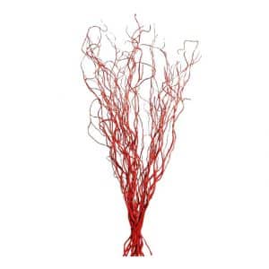 10 Decoratietakken Rood 70 cm