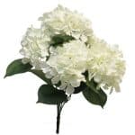 Bos Hortensia Wit