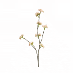 Appelbloesem Licht Roze. 80 cm.