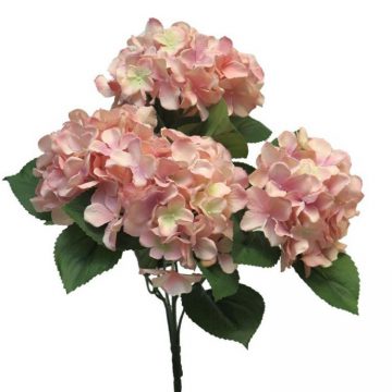 Bos Hortensia Rose