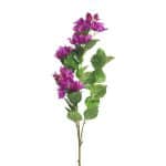 Bougainvillea Violet 95 cm