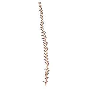 Decoratie  Gras Aar Naturel