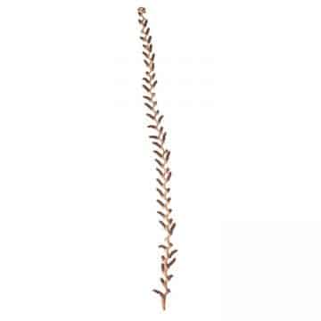 Decoratie  Gras Aar Naturel