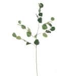 Eucalyptus Groen 85 cm