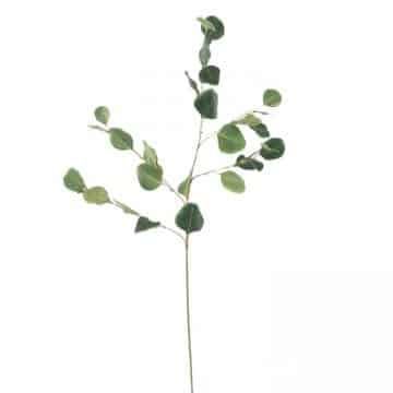 Eucalyptus Groen 85 cm