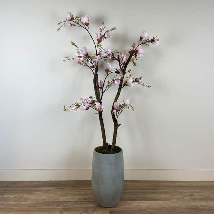 Gevlekt dynamisch mist Magnoliaboompje - Roze - 150cm(excl. pot) | Decoratietakken