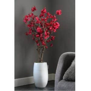 Fruit bloesemboom Fuchsia ± 140 cm (incl.witte  pot)