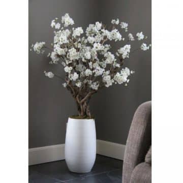 Fruit bloesemboom Wit ± 140 cm (excl. pot)