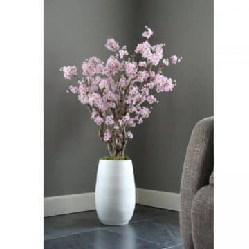 Fruit bloesemboom Roze ± 140 cm (incl.witte  pot)