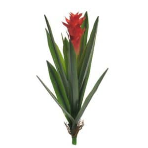 Bromelia Rood 55 cm