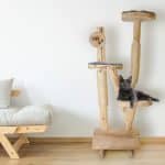 Houten Krabpaal met Naamschijf - H120 x B80 cm