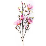 Magnolia Pink 110 cm