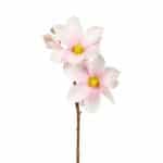 Magnolia Roze - Wit 40 cm