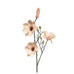 Magnolia  Soft Zalm 80 cm