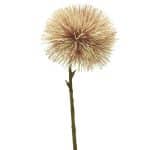 Taraxacum Bloem Wit - Roze 45cm