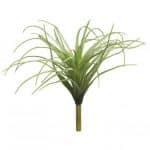 Tillandsia Groen Middel 20 cm