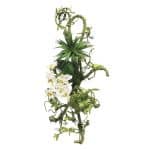 Vanda Orchidee Wit Decoratie 55 cm