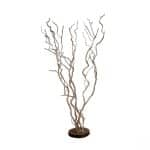 Wensboom Brocant op Voet 120 cm