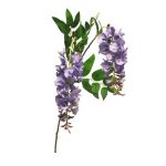 Wisteria Bloemen  Paars 95 cm