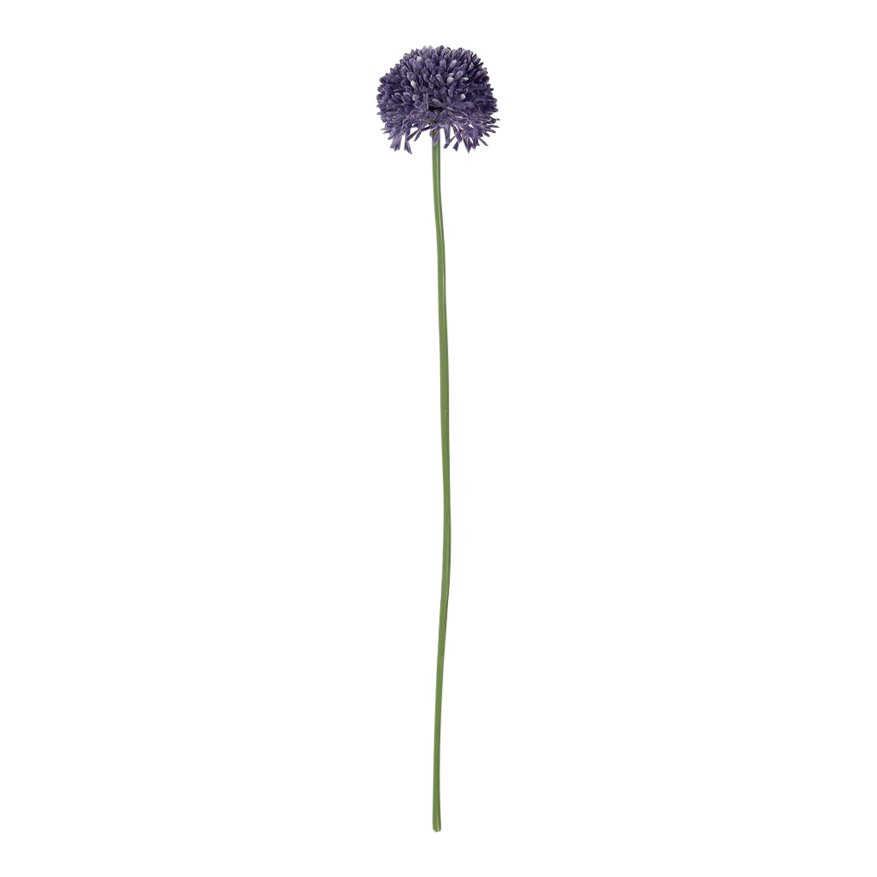 Allium klein - Paars - 50cm | Decoratietakken