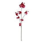 Appelbloesem Fuchsia 90 cm
