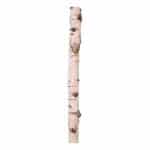 Berkenstam 100 cm