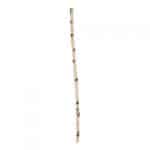 Berkenstam 100 cm