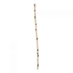 Berkenstam 100 cm