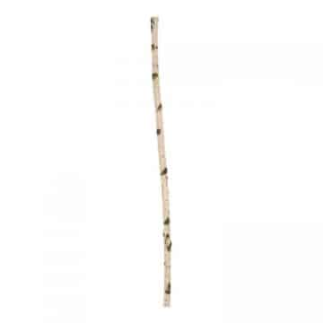 Berkenstam 100 cm