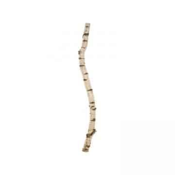 Berkenstam 150 cm