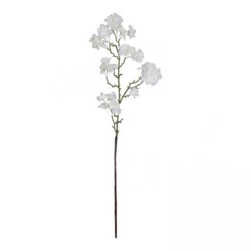 Bloesem Wit 80 cm