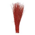 Bos Berkentakken Rood