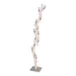 Champagne Stam Brocant 165 cm op voet met 15 haakjes