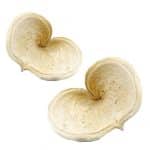 3  Badam Creme 11 cm