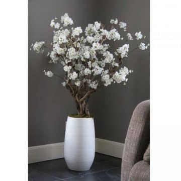 Fruit bloesemboom Wit ± 140 cm (incl. witte pot)