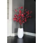 Fuchsia Bloesemboom ± 150 cm (excl. pot)