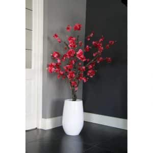 Fuchsia Bloesemboom ± 150 cm (excl. pot)