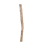 Oud Eikenstam 120 cm doorsnee ± 6 cm