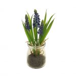Blauwe druifjes in glas 17 cm