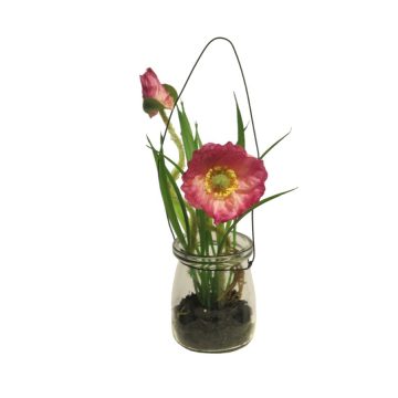 Anemoon Roze in glas 16 cm