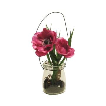 Anemoon Fuchsia in glas 16 cm